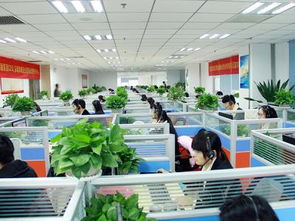 合肥陽光信通電銷崗位深度解析 國內呼叫中心業務現狀與職業前景